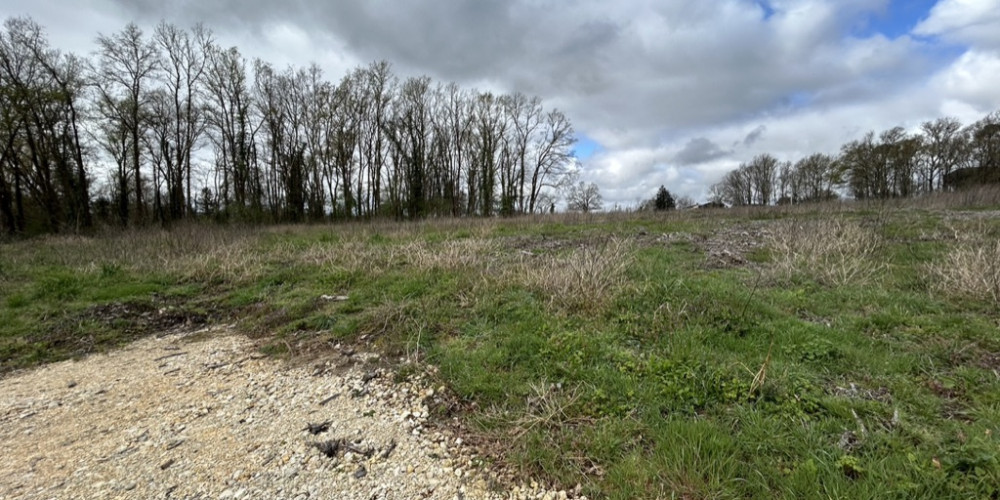 terrain à ST MARTIN DU BOIS (33910)