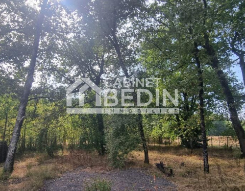 terrain  LE TAILLAN MEDOC