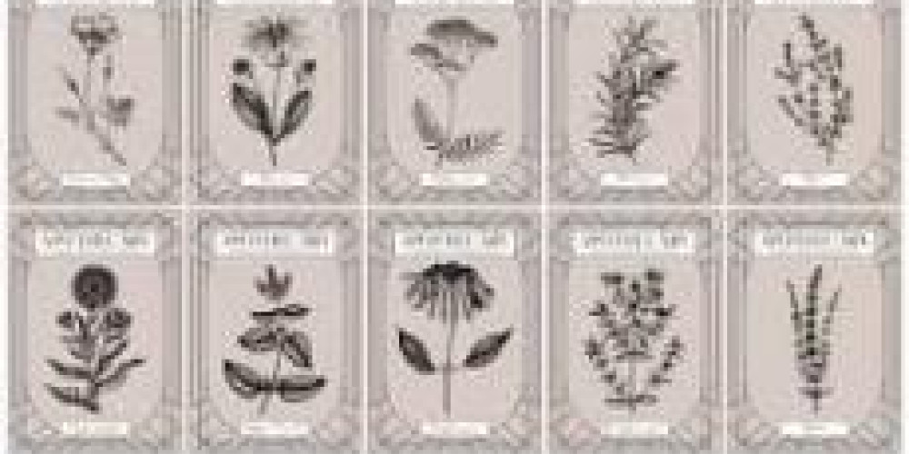 fond de commerce à ANDERNOS LES BAINS (33510)