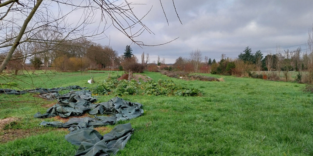 maison à EYNESSE (33220)