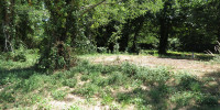 terrain à VENSAC (33590)