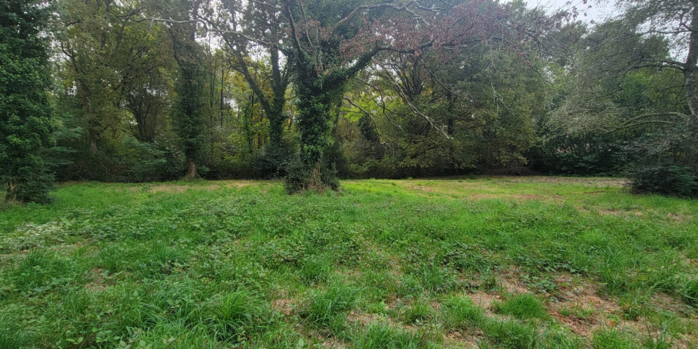 terrain à MIOS (33380)