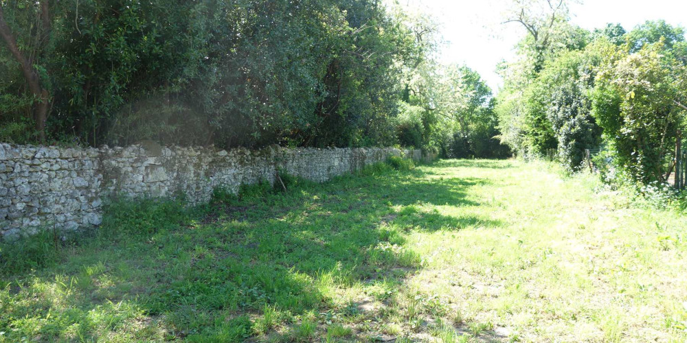 terrain à ST CHRISTOLY DE BLAYE (33920)