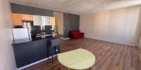 appartement à BORDEAUX (33800)
