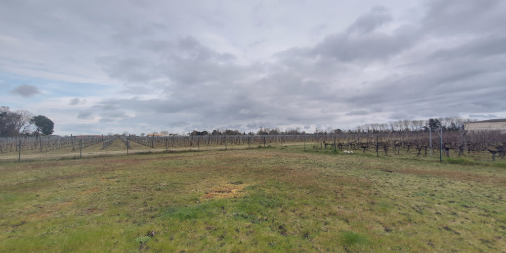 terrain à LIBOURNE (33500)
