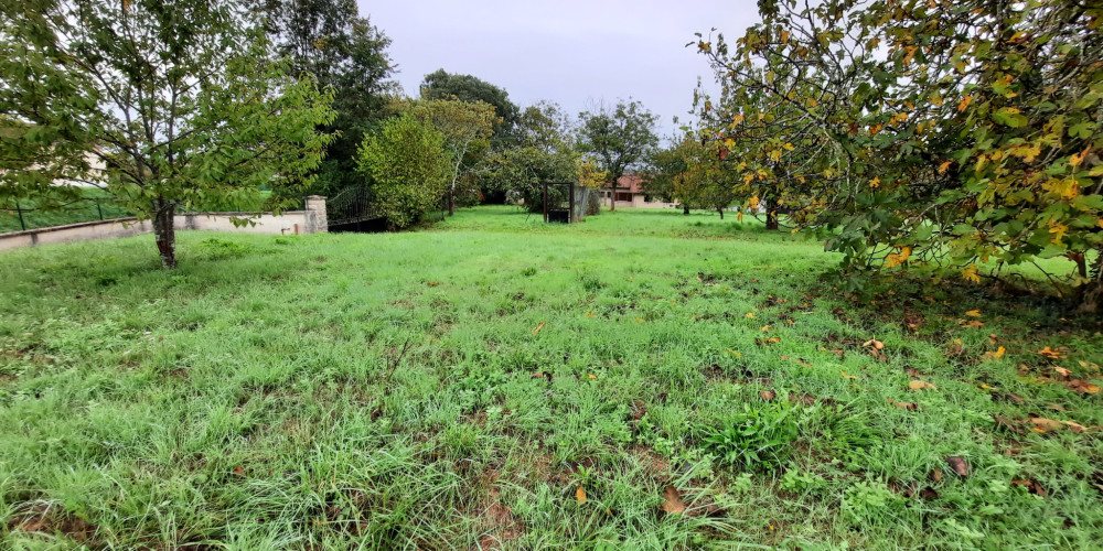 terrain à PELLEGRUE (33790)