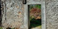 maison à ST MORILLON (33650)