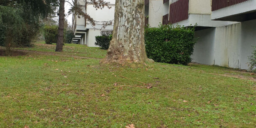 appartement à VILLENAVE D ORNON (33140)