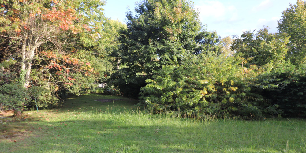 terrain à LEOGNAN (33850)