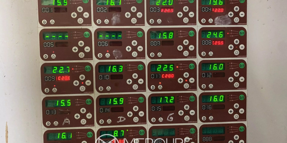 maison à PELLEGRUE (33790)