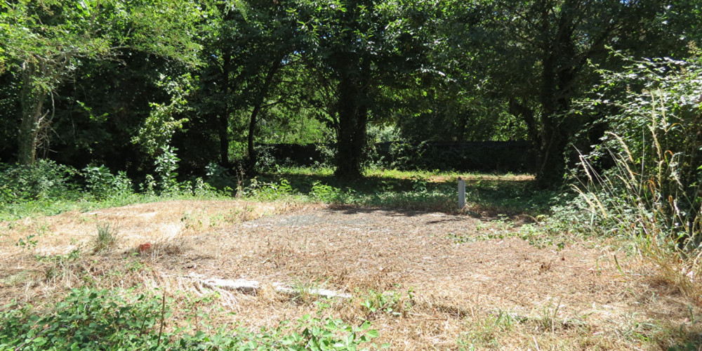 terrain à VENSAC (33590)