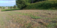 terrain à CARS (33390)