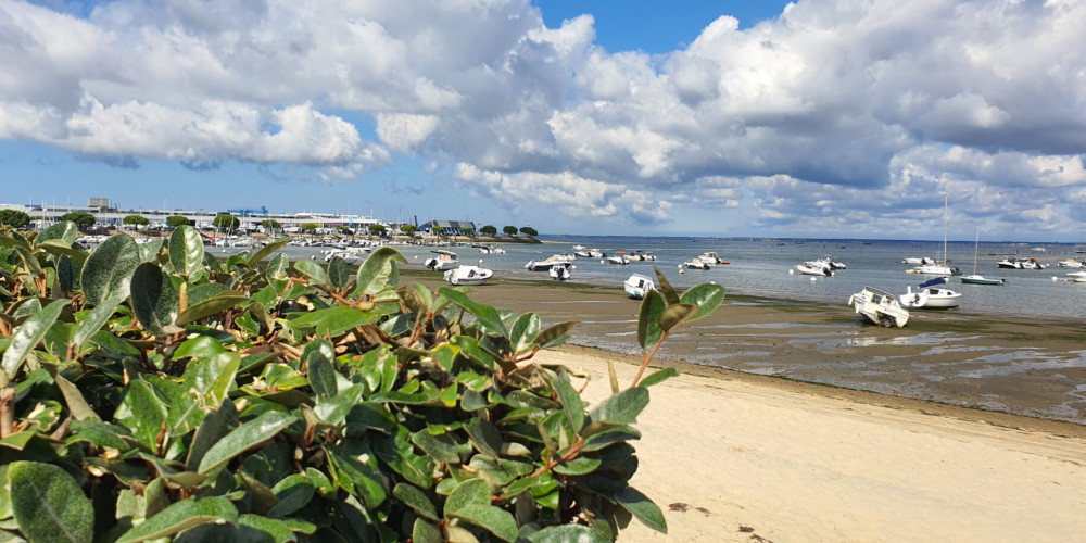 appartement à ARCACHON (33120)