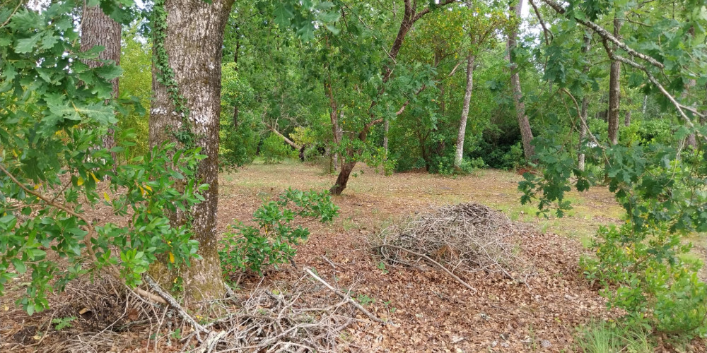 terrain à STE HELENE (33480)
