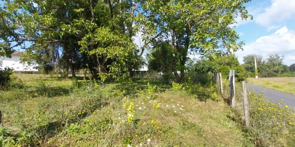 terrain à BAZAS (33430)