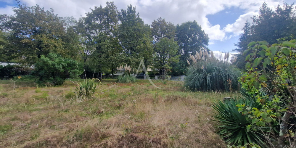 terrain à LE PIAN MEDOC (33290)