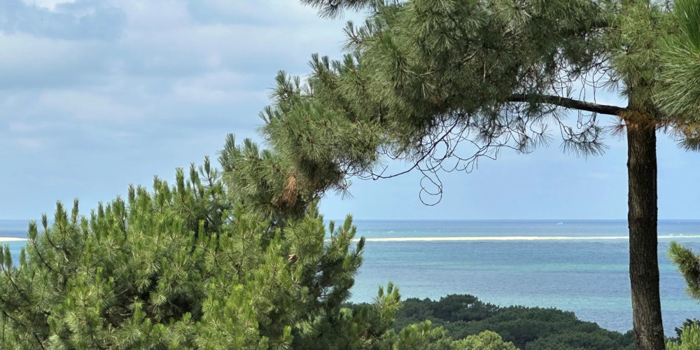 maison à LA TESTE DE BUCH (33115)