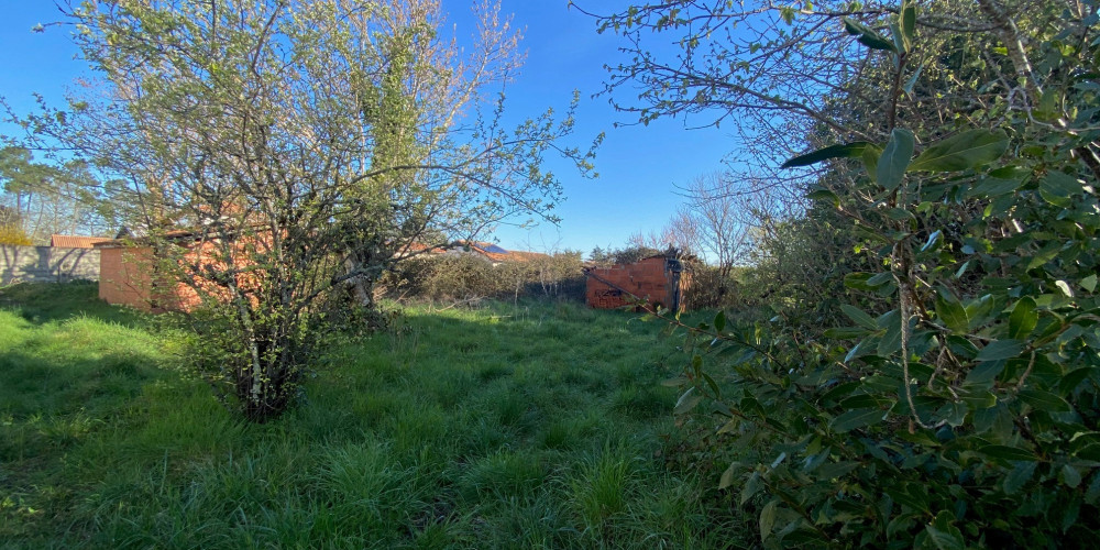 terrain à CESTAS (33610)