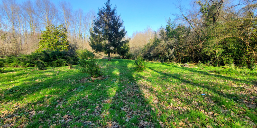 terrain à AMBARES ET LAGRAVE (33440)