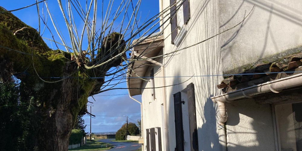 maison à PAILLET (33550)