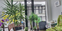 appartement à ARCACHON (33120)