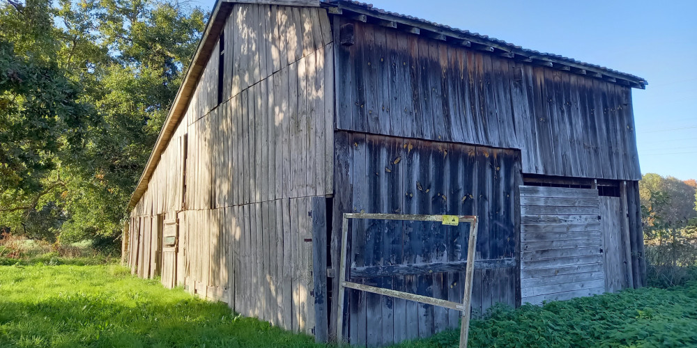 maison à ETAULIERS (33820)