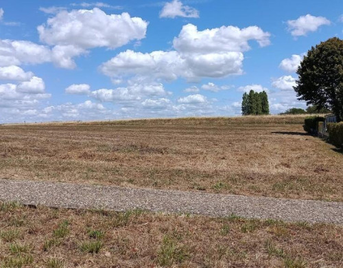 terrain  CARS