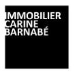 Logo IMMOBILIER CARINE BARNABE