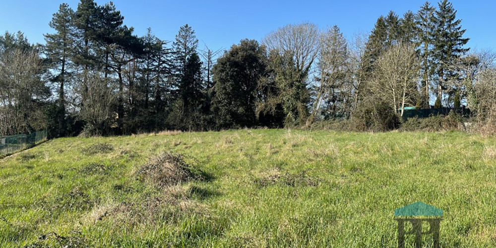 terrain à VILLANDRAUT (33730)