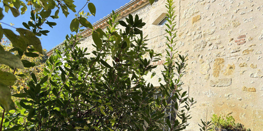 maison à VENDAYS MONTALIVET (33930)