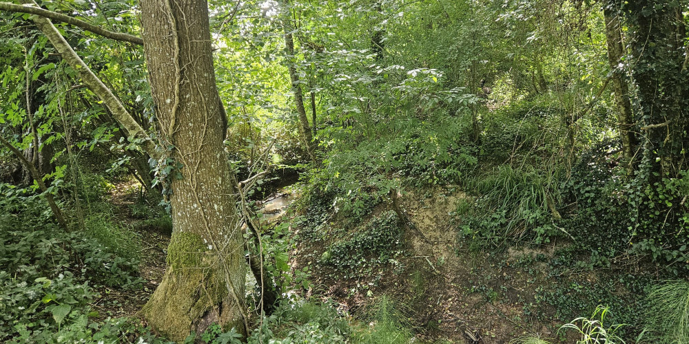 terrain à COUTURES (33580)