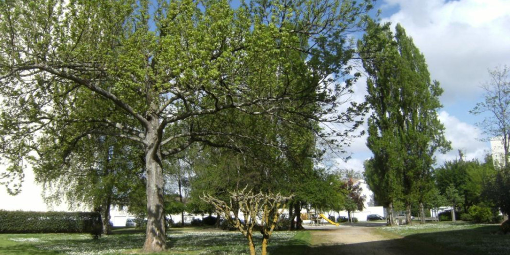 appartement à MERIGNAC (33700)