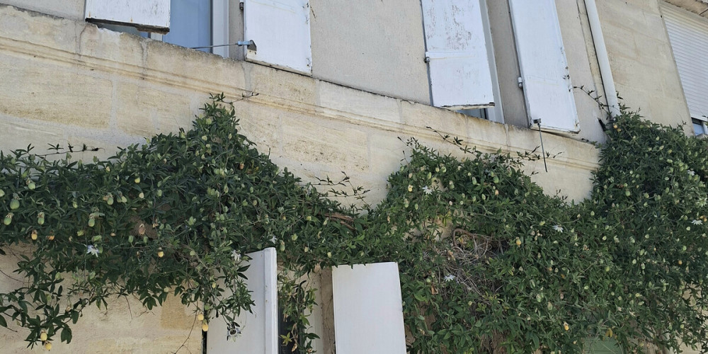 maison à BORDEAUX (33000)