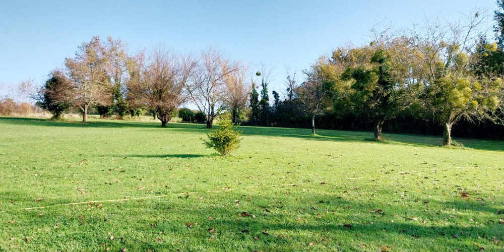 maison à BLASIMON (33540)