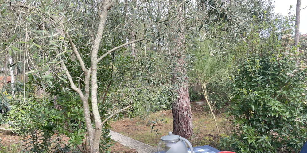 maison à LACANAU (33680)