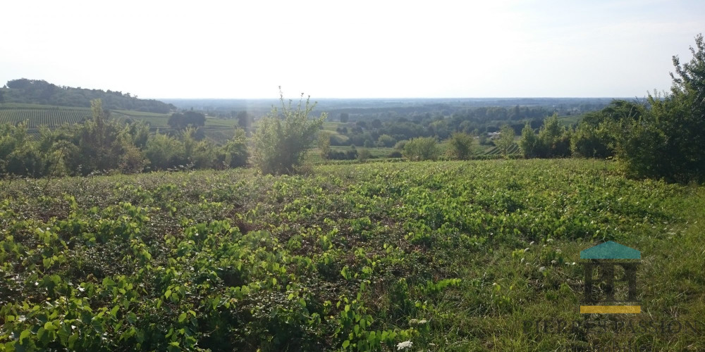 terrain à GABARNAC (33410)