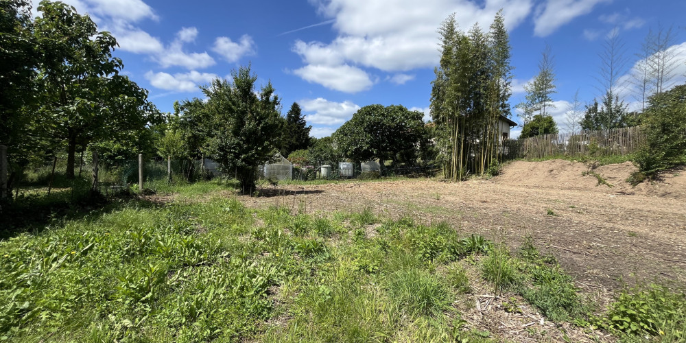 terrain à CERONS (33720)