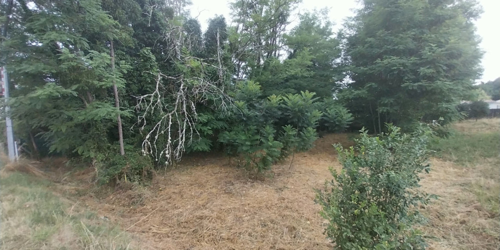 terrain à NOAILLAN (33730)
