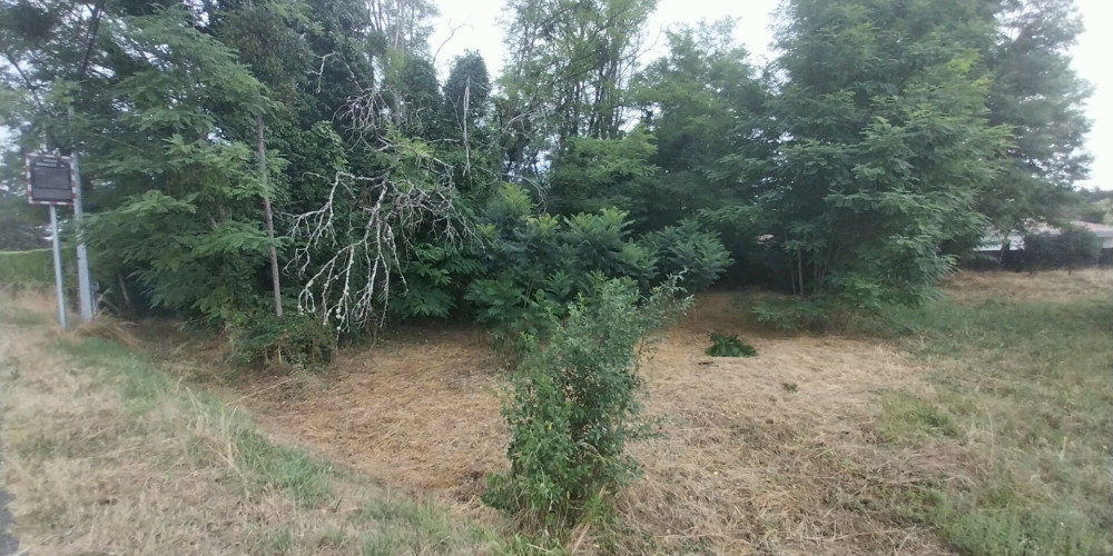 terrain à NOAILLAN (33730)