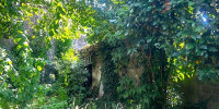 maison à BORDEAUX (33100)