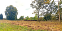 terrain à TARGON (33760)