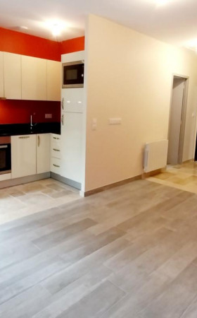 Appartement  PUISSEGUIN