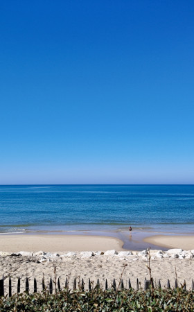 Local commercial  LACANAU