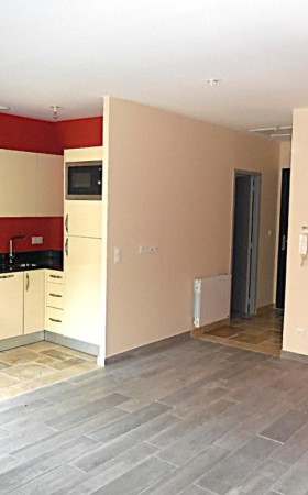 Appartement  PUISSEGUIN
