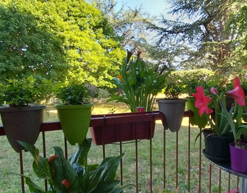 maison  LIBOURNE