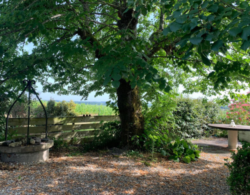 maison  SAUVETERRE DE GUYENNE