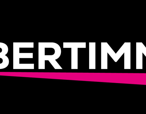 terrain  VILLENAVE D ORNON