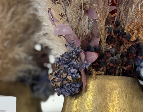 local commercial  ARCACHON