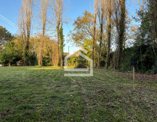 terrain  LE TAILLAN MEDOC