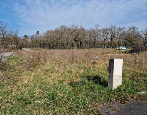 terrain  ST ANDRE DE CUBZAC